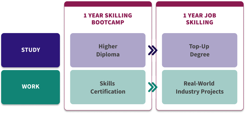 scheme new scheme new